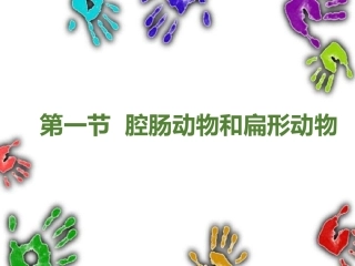 第一节腔肠动物与扁形动物