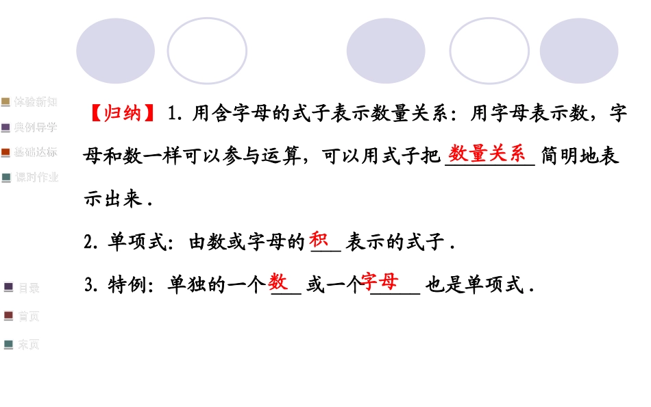 单项式 (3)_第3页