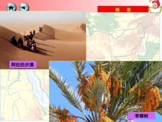 复件73西亚成