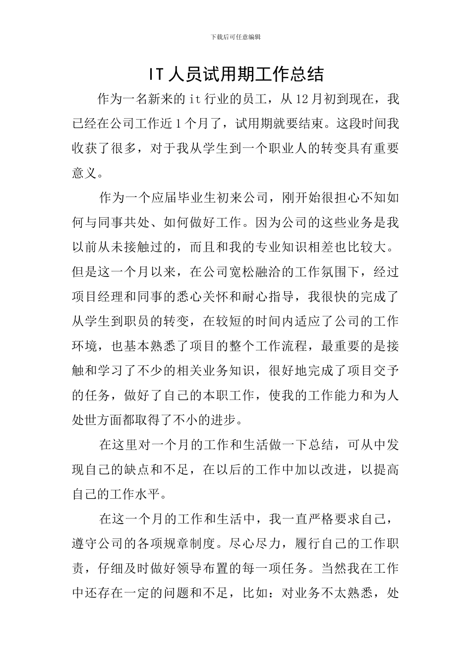 IT人员试用期工作总结_第1页
