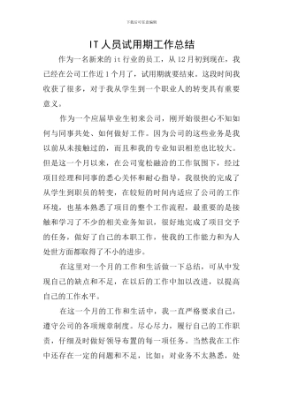 IT人员试用期工作总结