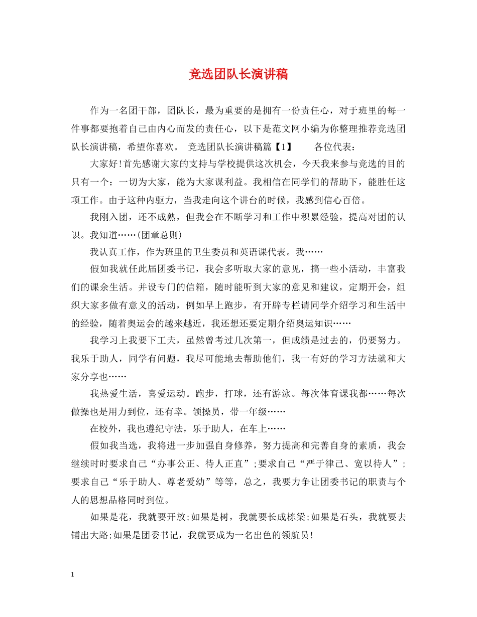 竞选团队长演讲稿 _第1页