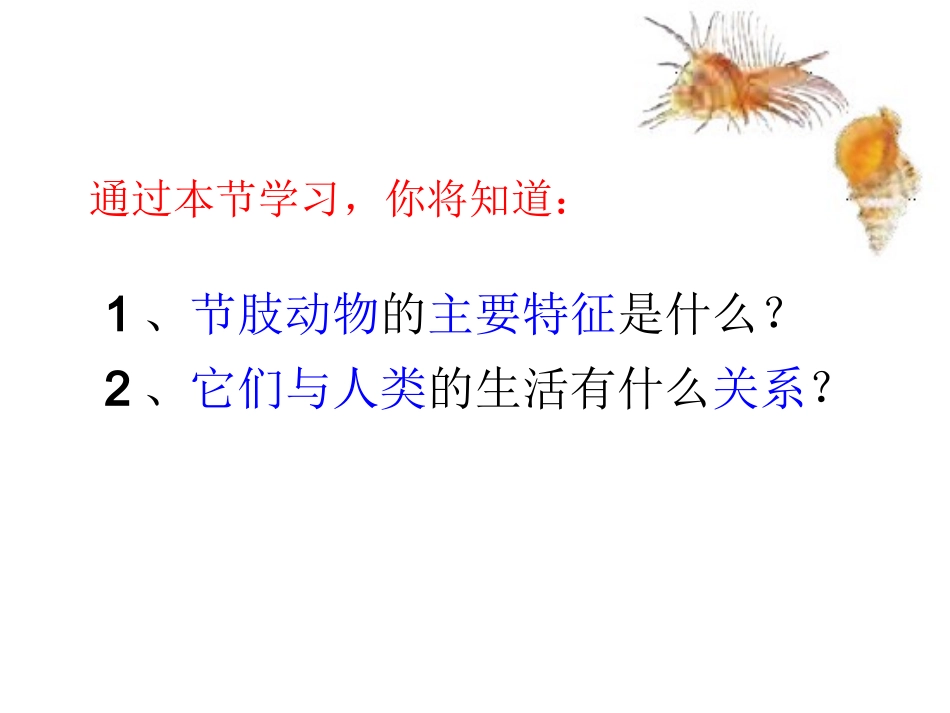 32第三节节肢动物_第2页