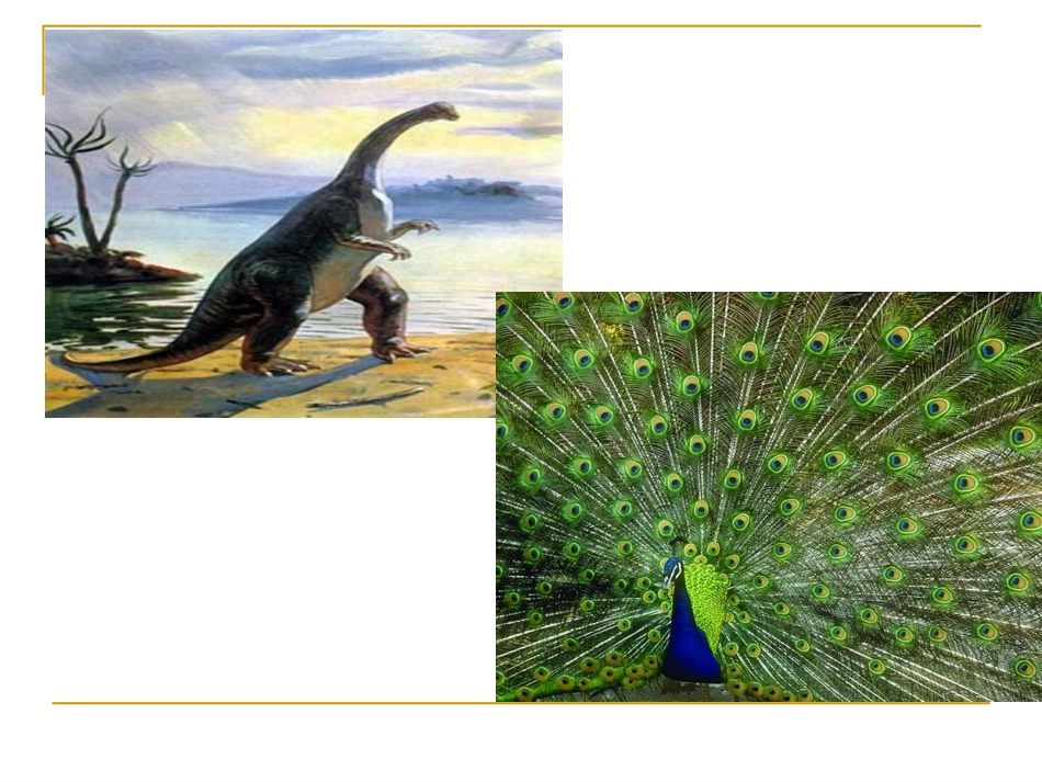 31飞向蓝天的恐龙_第2页