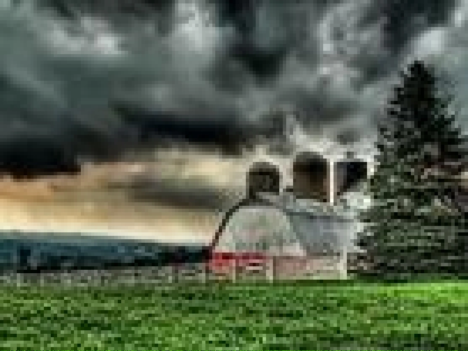 2我是什么(1)_第3页