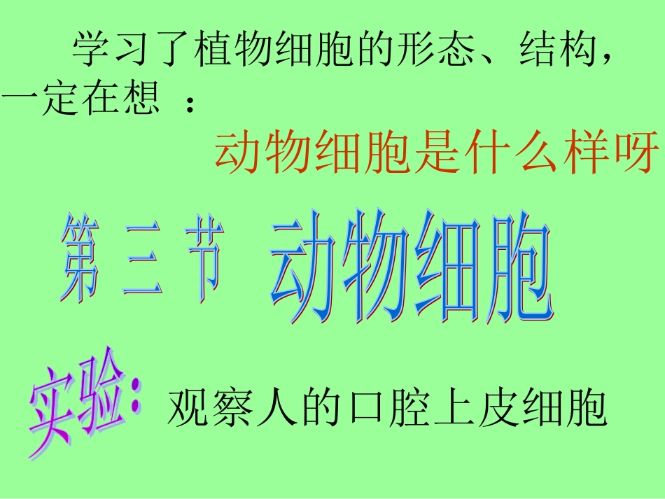 观察动物细胞4_第2页