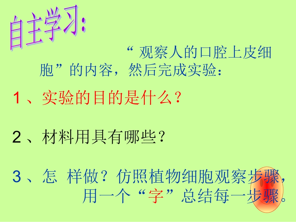 观察动物细胞4_第3页