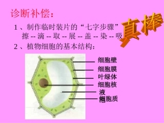 观察动物细胞4