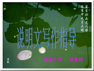 说明文写作指导