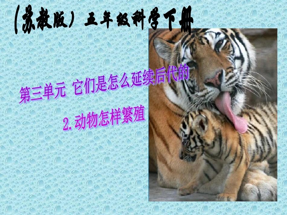 动物怎样繁殖后代的_第1页