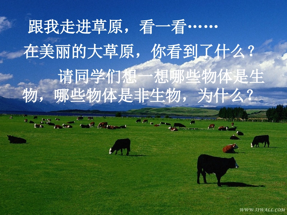 1第一节-生物的特征_第2页