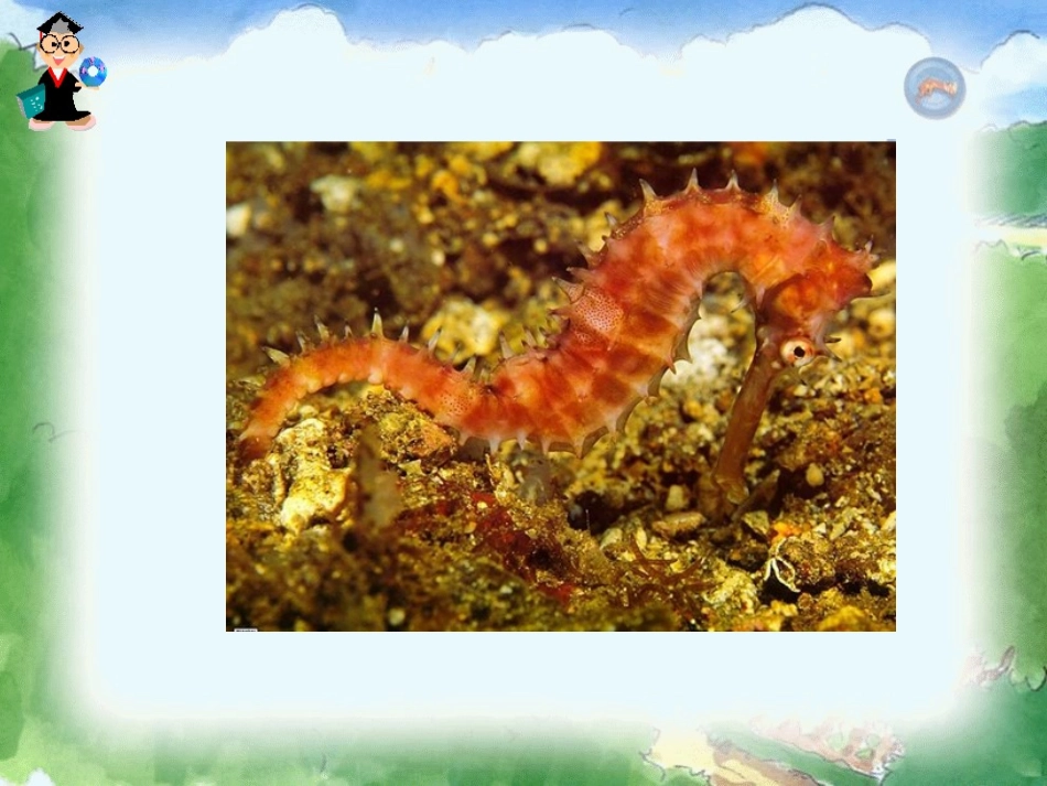 自然之道课件_第2页