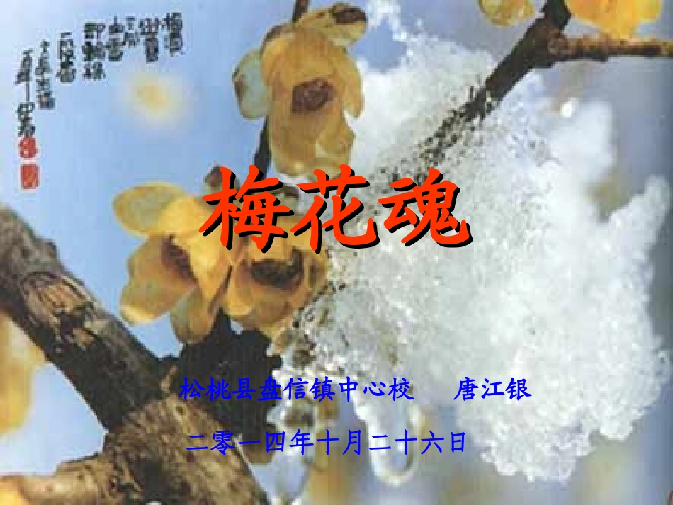 梅花魂教学课件_第1页
