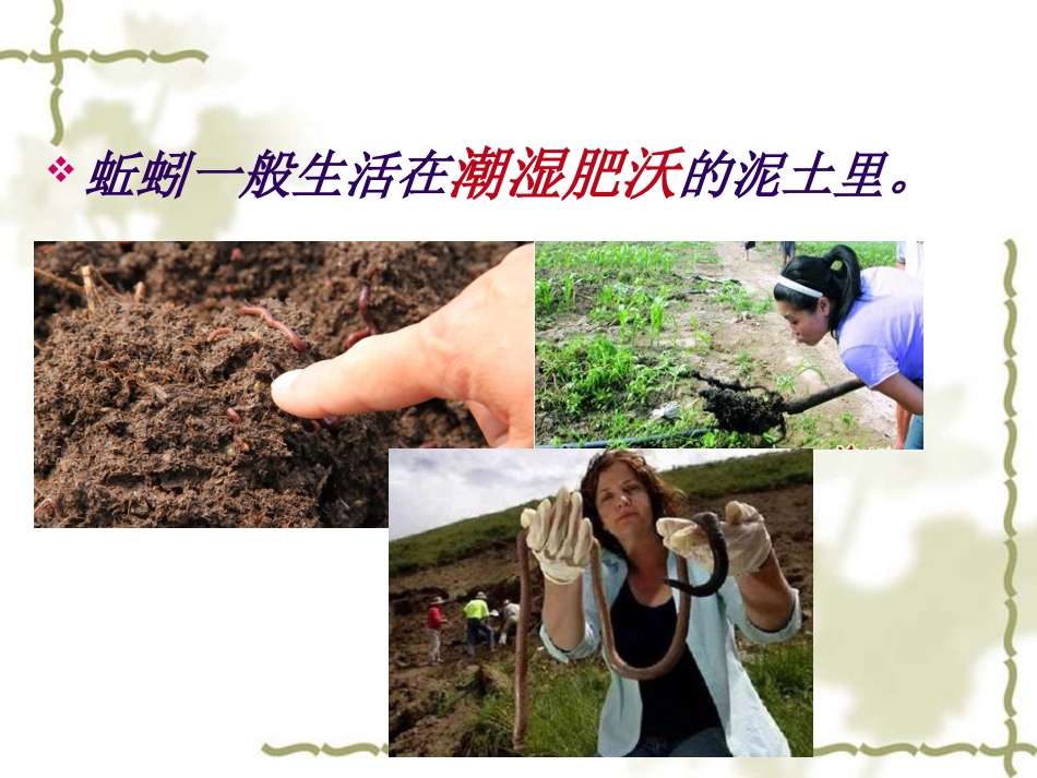 三年级科学蚯蚓教案_第3页