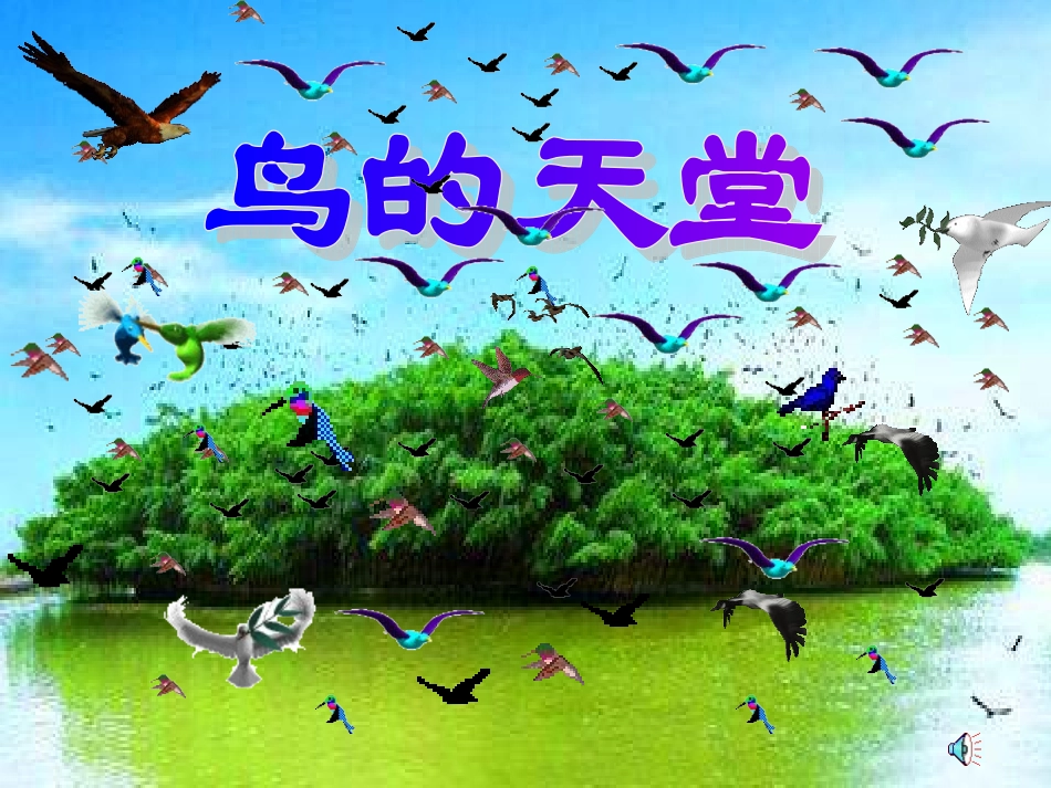 鸟的天堂上课_第1页