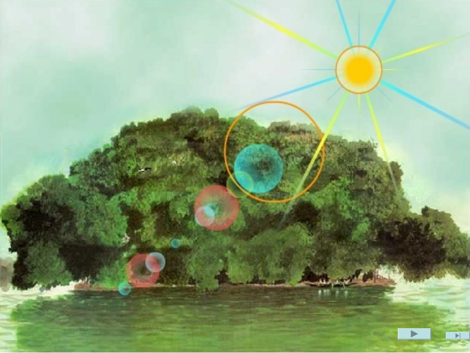 鸟的天堂上课_第3页