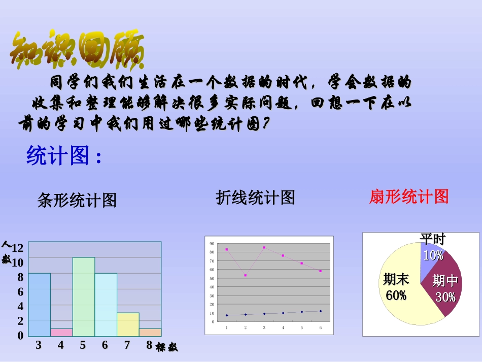 2114扇形统计图的制作_第2页