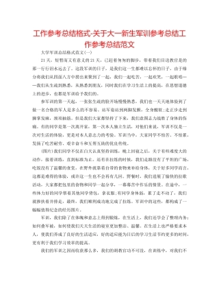 工作参考总结格式-关于大一新生军训参考总结工作参考总结范文 