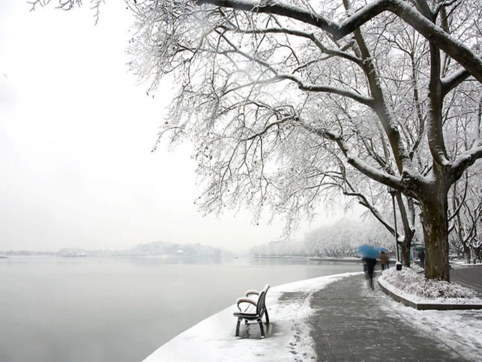 湖心亭看雪正式_第3页