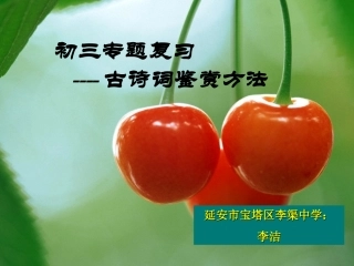 中考古诗词李洁