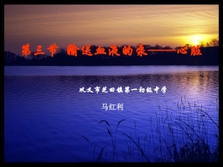 巩义马红利《输送血液的泵—心脏》