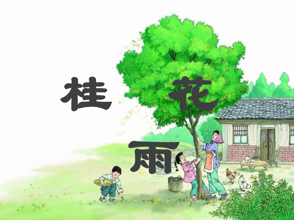 桂花雨课件 (4)_第1页