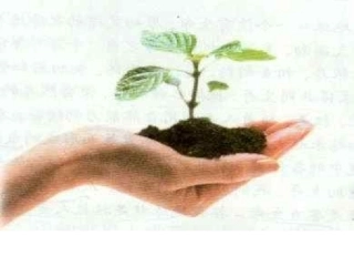 珍爱生命主题班会课件