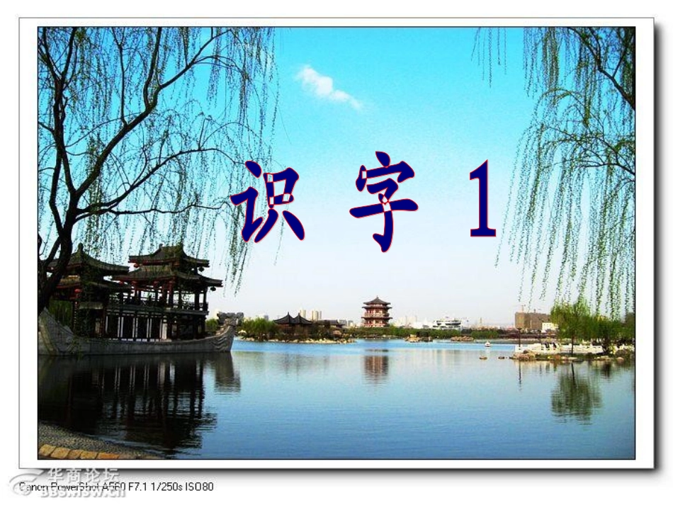 一年级语文下册识字1_第1页