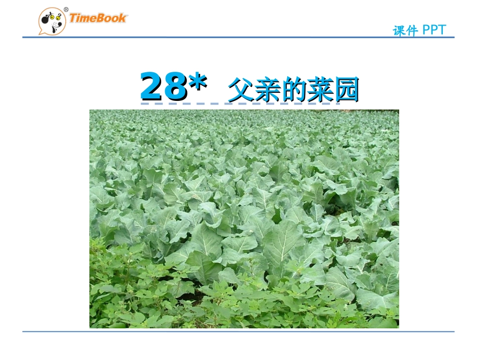 28父亲的菜园_第3页