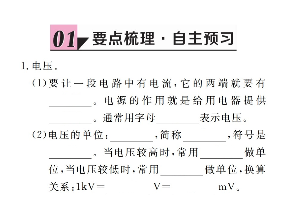 人教版物理九年级全册（贵州）作业课件-161电压（共21张PPT）_第2页