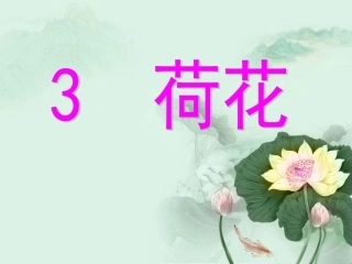 荷花第二课时_3328
