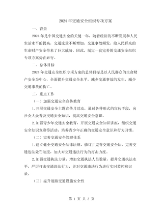 2024年交通安全组织专项方案 