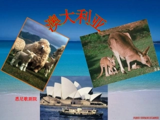 84澳大利亚 (2)