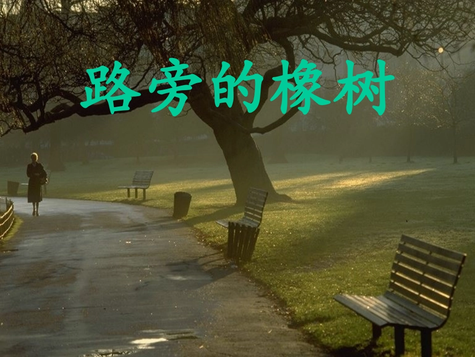 路旁的橡树(2)_第1页