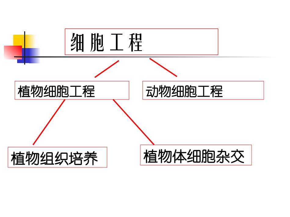 植物细胞工程_第3页