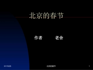 北京的春节 (3)