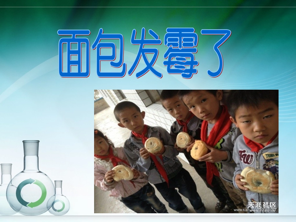 35面包发霉了_第1页