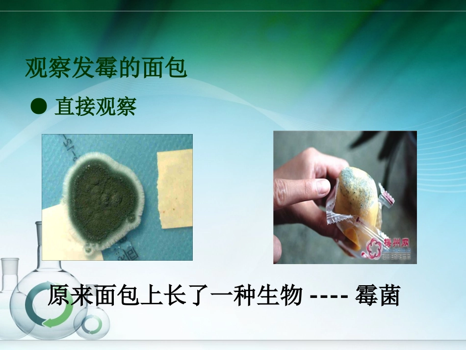 35面包发霉了_第2页