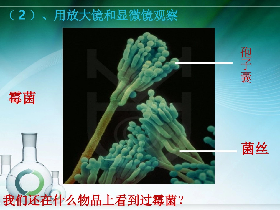 35面包发霉了_第3页