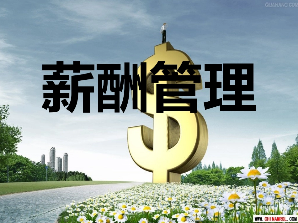 薪酬管理27_第1页