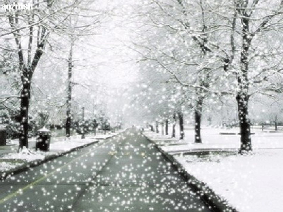 苏教版二年级上识字5_第2页