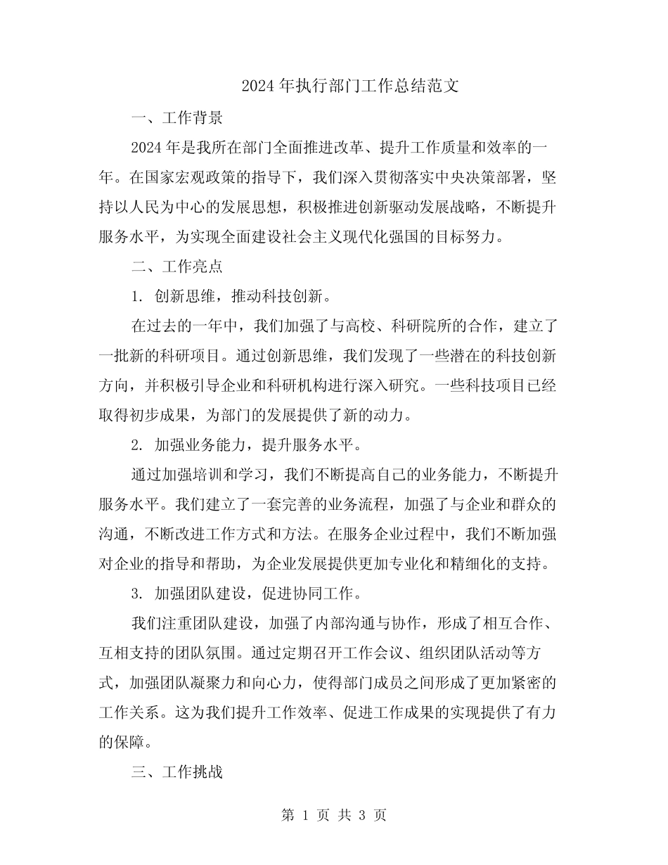 2024年执行部门工作总结范文_第1页