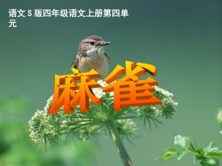 (语文S版)四年级语文上册课件_麻雀_6