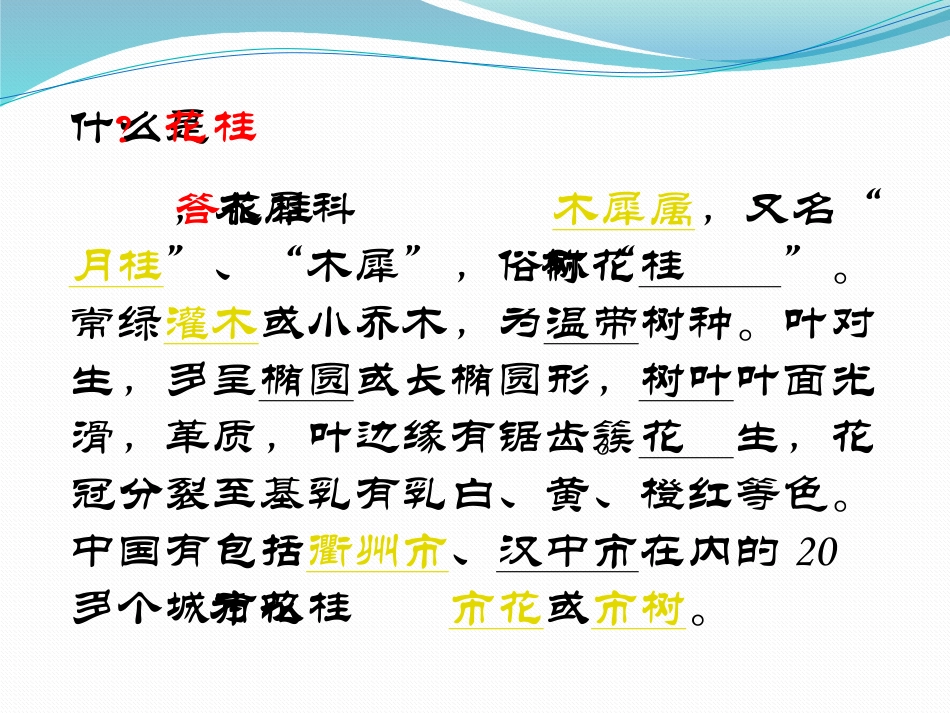 （课堂教学课件1）桂花雨_第2页