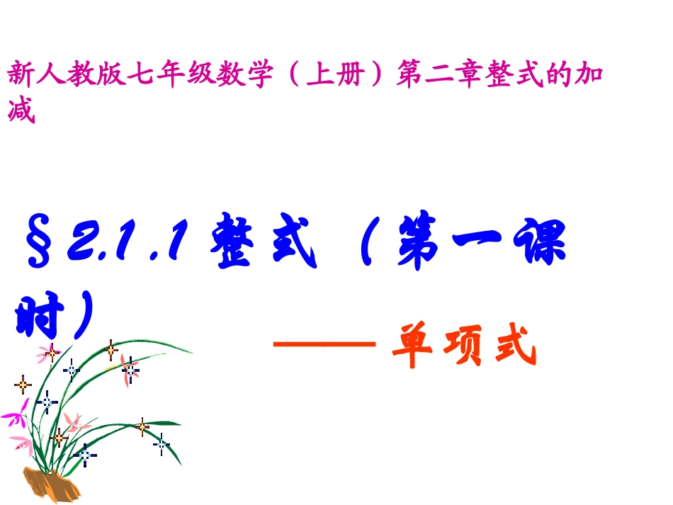 上课（整式）_第3页