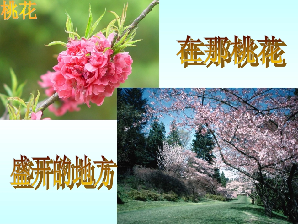 贾昌小学宋付林《大自然的语言》_第2页