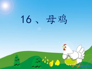 母鸡 (3)