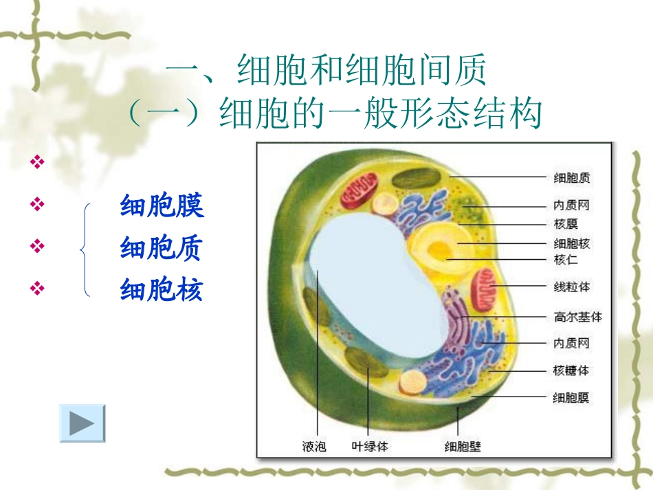 第三节人体基本组成_第3页