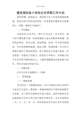瘦西湖实验小学班主任学期工作计划