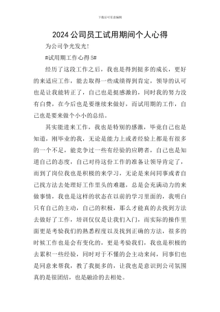 2024公司员工试用期间个人心得